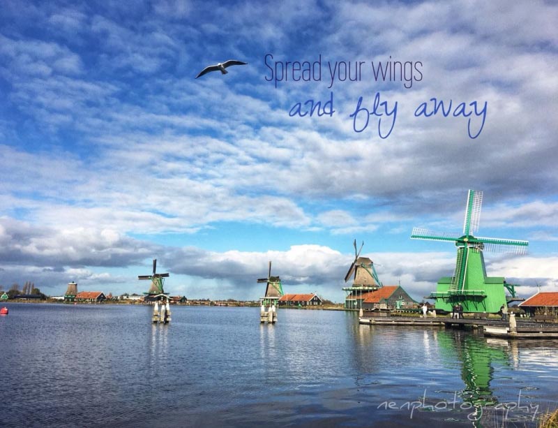 We All Deserve A Little WANDERLUST!