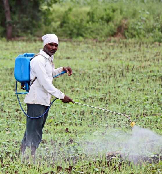 We Eat Pesticides Every Day