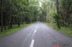 We have to travel a long distance in this coming 2009