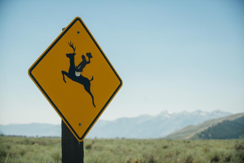 We Suffer From The What’s New Syndrome