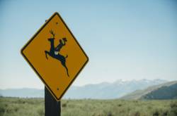 We suffer from the what’s new syndrome