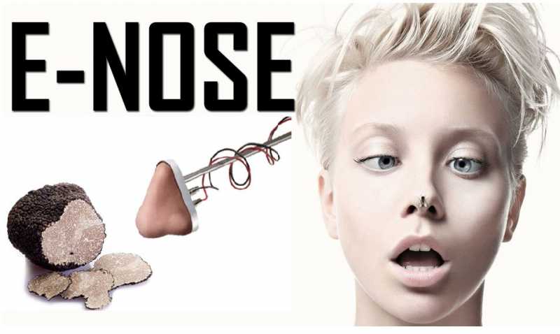 WeToHelp - Help For General Queries 