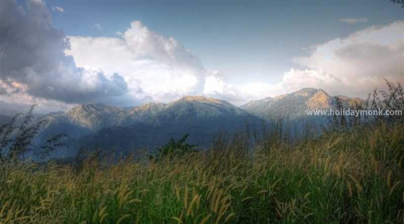 Weather In Sakleshpur - Homestay In Sakleshpur | Resorts In Sakleshpur | Coffee Estate