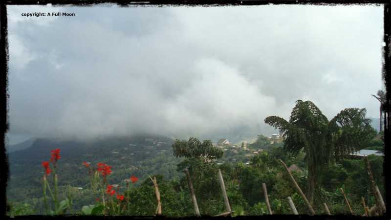 Weavers Of The Misty Mountains 
