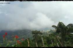 Weavers of the Misty Mountains 