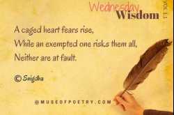 Wednesday Wisdom Vol 1.1