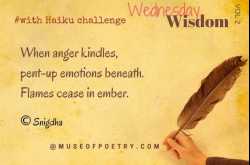 Wednesday Wisdom Vol 2 with Haiku Challenge