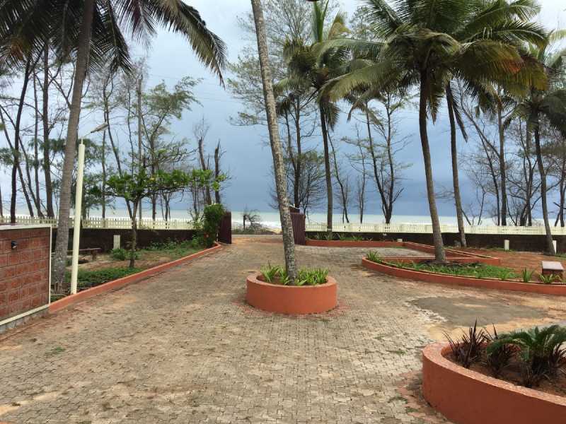 Week 12&13: 11 Days Of Complete Shutdown :( - Câest La Vie