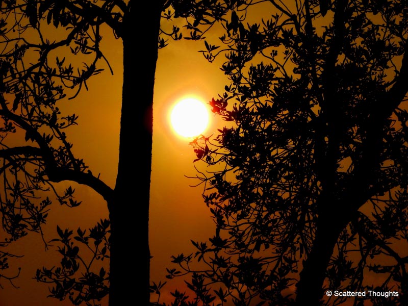 Weekend Destinations From Kolkata: Pedong, The Misty Village Of North Bengal