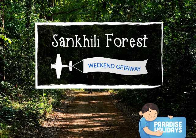 Weekend Getaway - Sankhili Forest - Paradise Holidays, Cochin