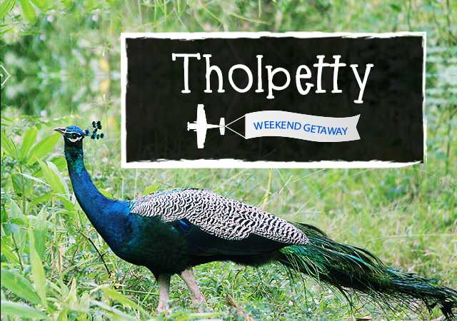Weekend Getaway - Tholpetty - Paradise Holidays, Cochin