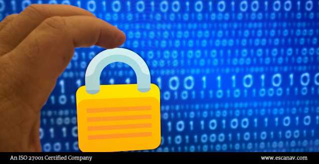 Weekly IT News Digest