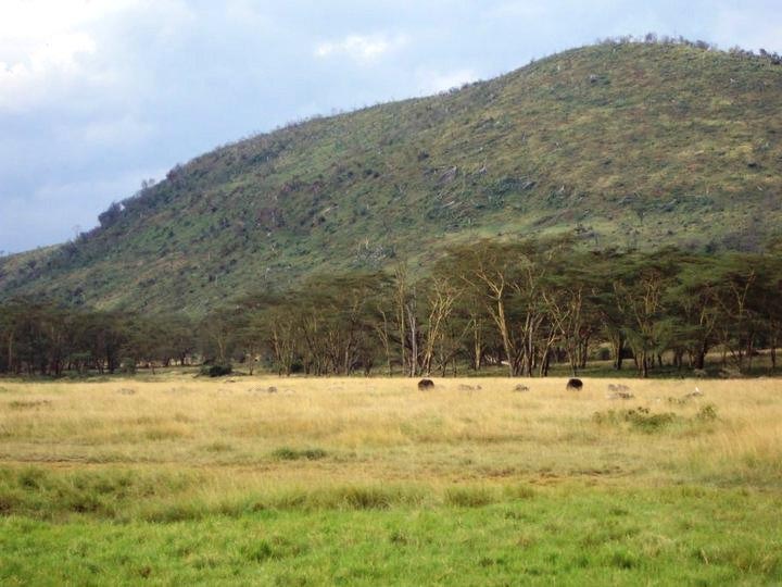 Weekly Photo Challenge: Green