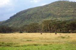 Weekly Photo Challenge: Green