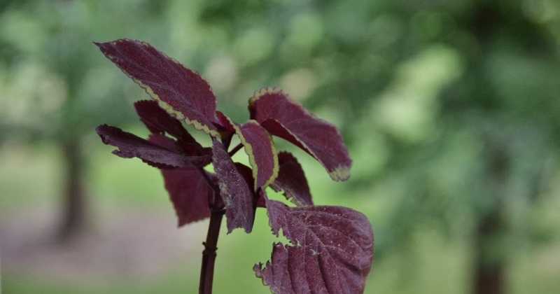 Weekly Photo Challenge: One