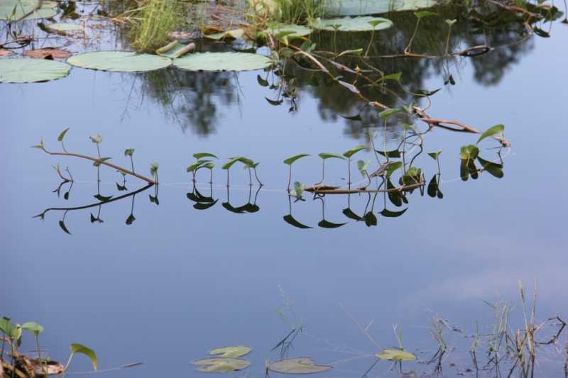 Weekly Photo Challenge: Silence