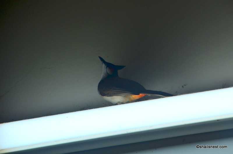 Weekly Photo Challenge: Unlikely