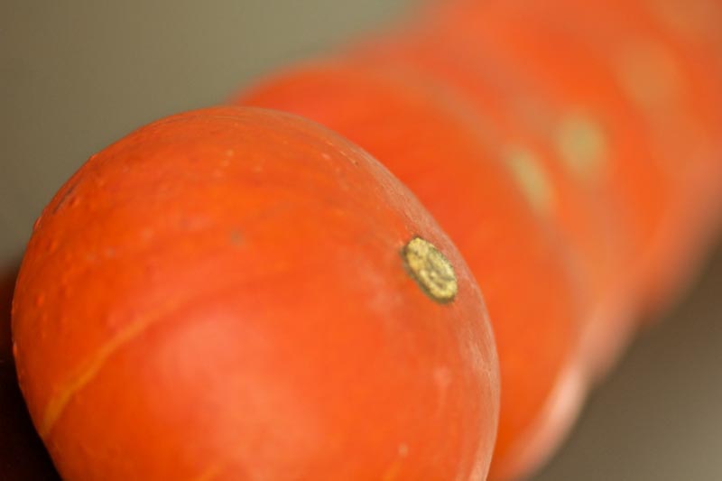 Weekly Photo Challenge: Variations On A Theme