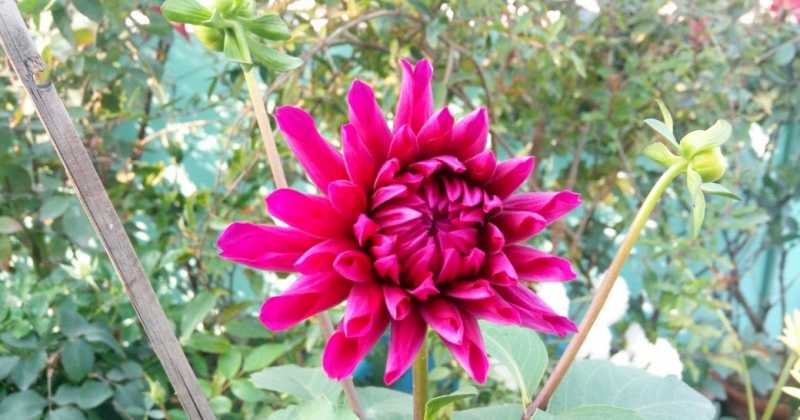 Weekly Updates - October 31