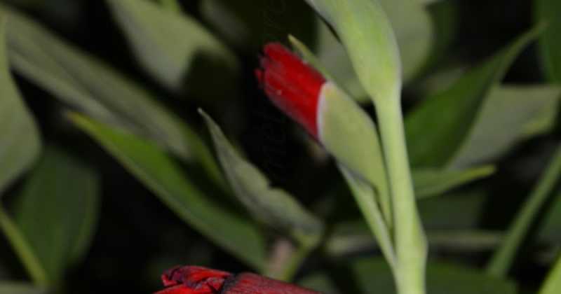 Weekly Updates - September 14