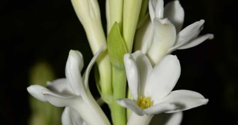 Weekly Updates - September 26, 2017