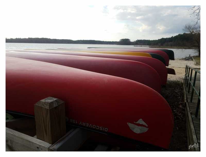 Welcome Sunshine - Lake Crabtree Park