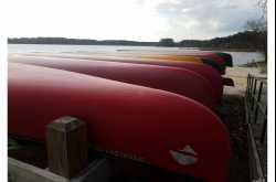 Welcome Sunshine - Lake Crabtree Park