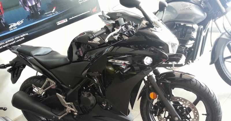 Welcoming A New Member To The Family