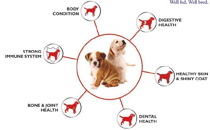 Well Fed . Well Bred