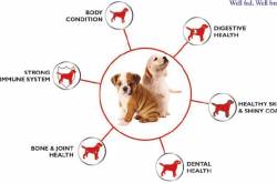 Well Fed . Well Bred