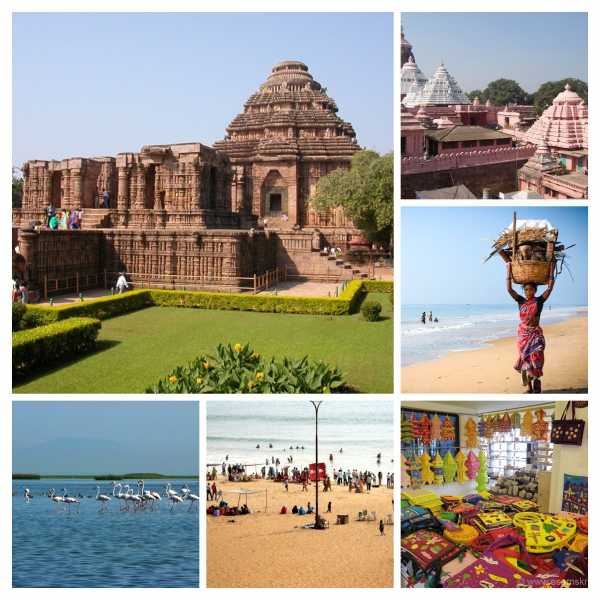 Well, I Don’t Speak Odissi!