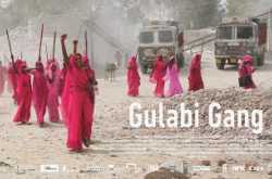 well told saga of the gulabi gang