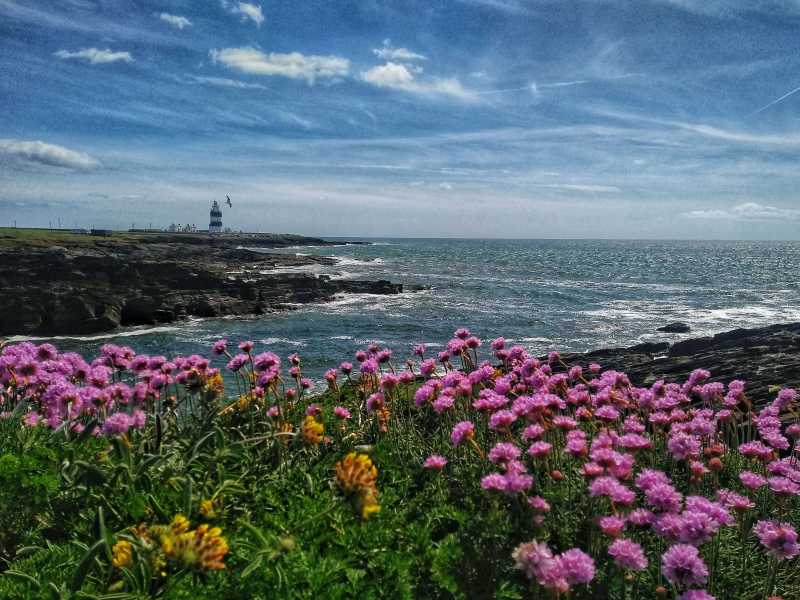 Wexford Farm Stay Experience: Irelands Ancient East!