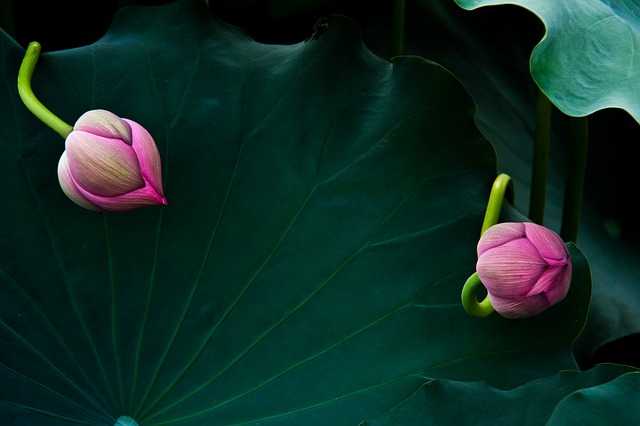 What Am I Turning Into?