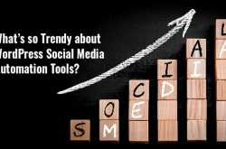 What Are The Best Social Media Automation Tools For WordPress?