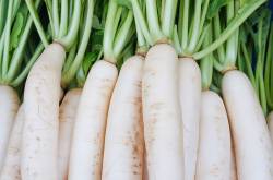 What Are The Health Benefits of Radish? - HealthCare2day