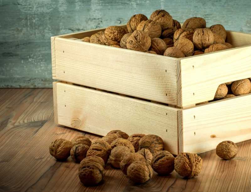 What Are The Health Benefits Of Eating Walnuts?