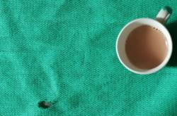 what chai taught me about social acceptance