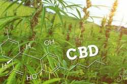 What Does CBD Stand For? Definition, Meaning, and Legality