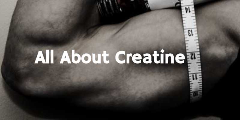 What Does Creatine Do And How Does It Work? - Lifestyle Den