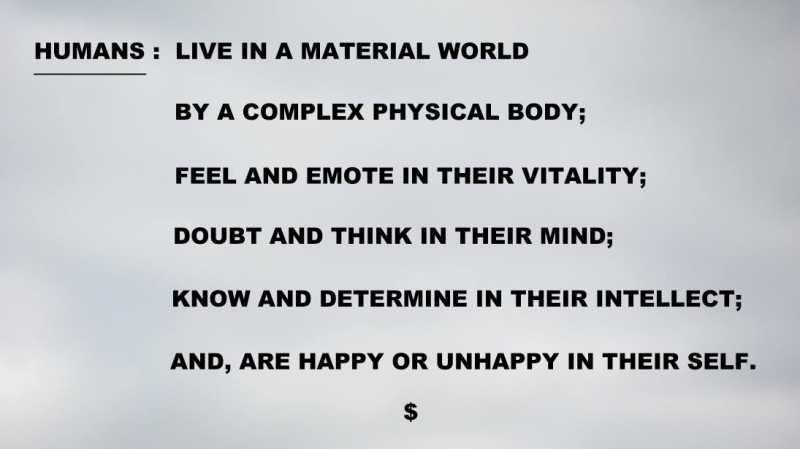 What Does It Mean To Us ?