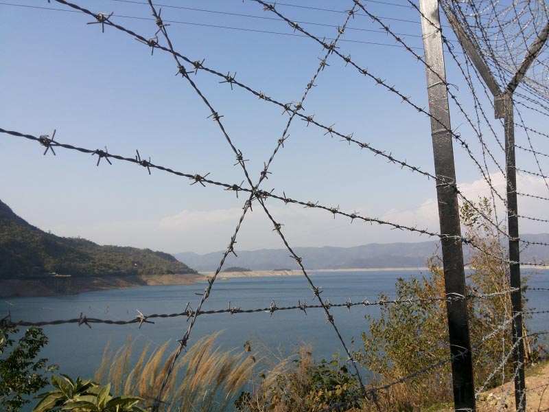 What Does It Take To Celebrate Life?