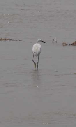 What Does It Take To Create An Opportunity?