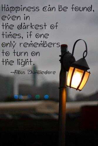 What Dumbledore Said To Harry Potter