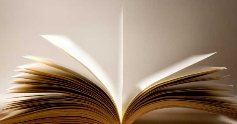 What I Am Reading:  80% Mindset 20% Skills By Dev Gadhvi