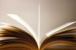 What I am reading:  80% Mindset 20% Skills by Dev Gadhvi