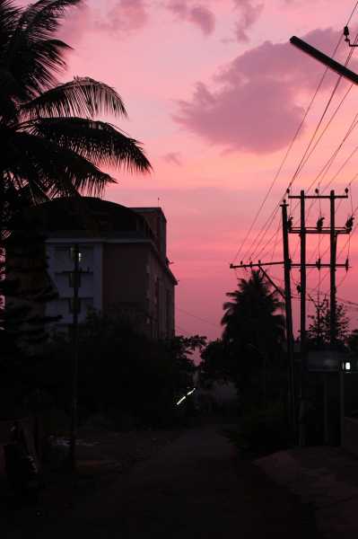 What I Did Not Tell You About This Year 2