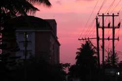 What I did not tell you about this year 2