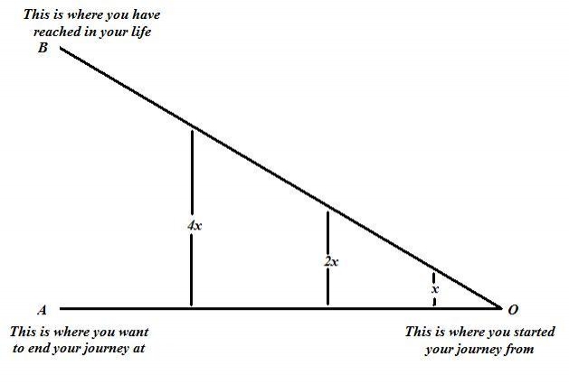 What I Have Is Not What I Always Wanted