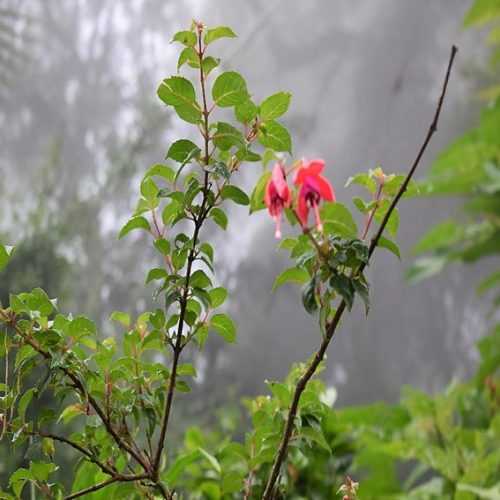 What I Learned From The Great Indian Election Result Frenzy (Life